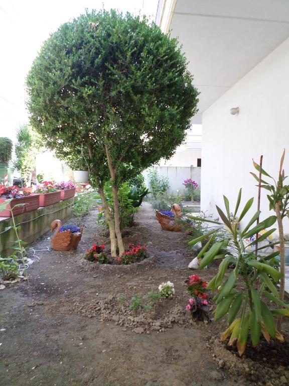 Hotel Dioni Paralía エクステリア 写真