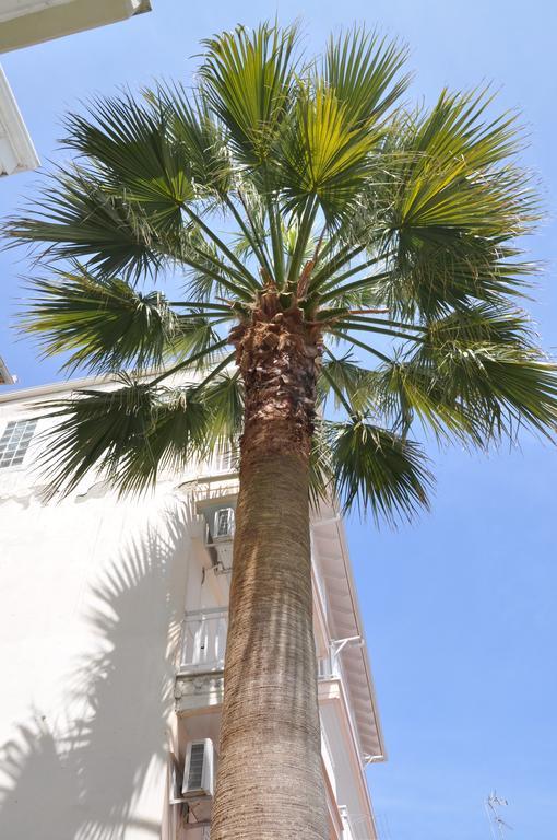 Hotel Dioni Paralía エクステリア 写真